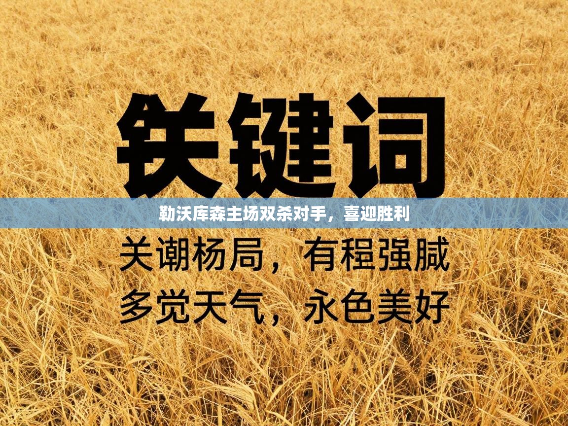 勒沃库森主场双杀对手，喜迎胜利