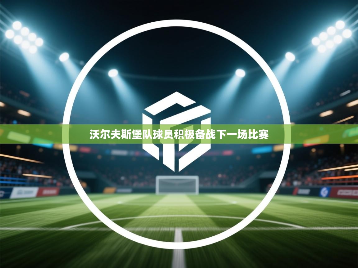 沃尔夫斯堡队球员积极备战下一场比赛  第1张