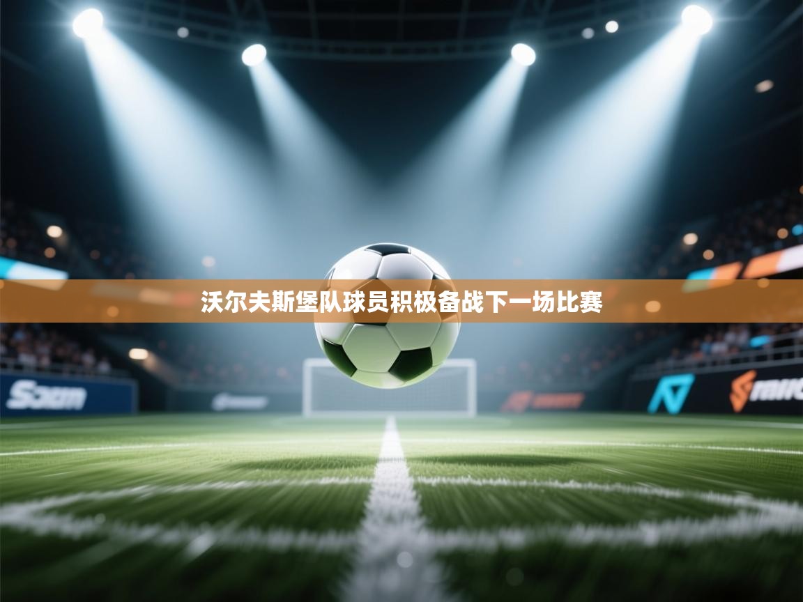 沃尔夫斯堡队球员积极备战下一场比赛  第2张